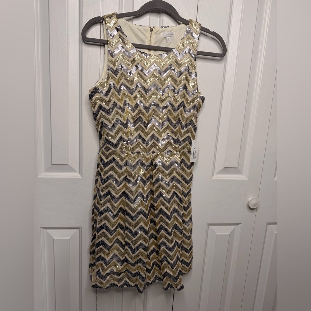Charming Charlie Sequin Chevron Dress (NWT)